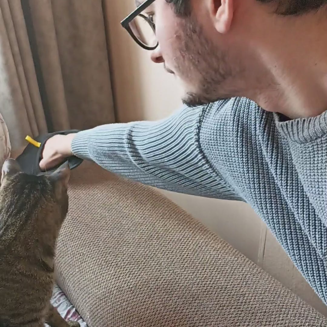 Carica il video: 